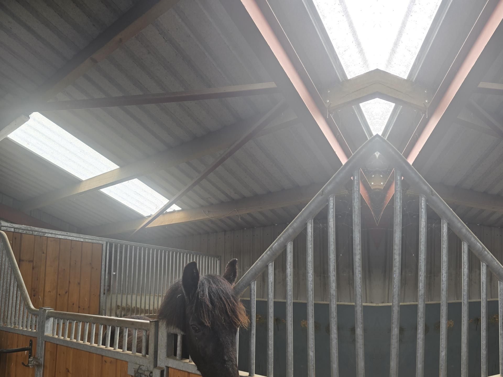 Horse Stable Roofing Refurbishment - GRP Rooflights & Box Profile Roof Sheets