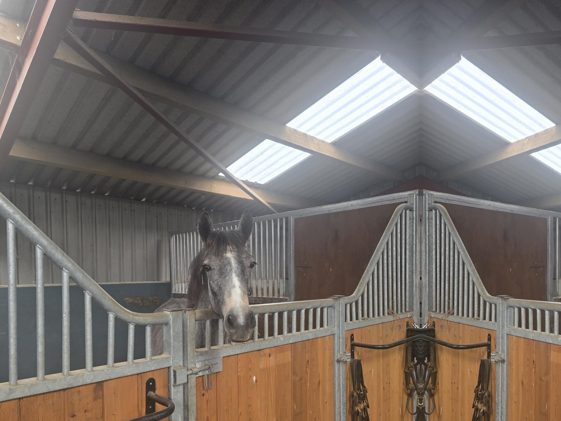 Horse Stable Roofing Refurbishment - GRP Rooflights & Box Profile Roof Sheets